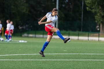 Bild 50 - C-Juniorinnen HSV - Walddoerfer : Ergebnis: 9:1